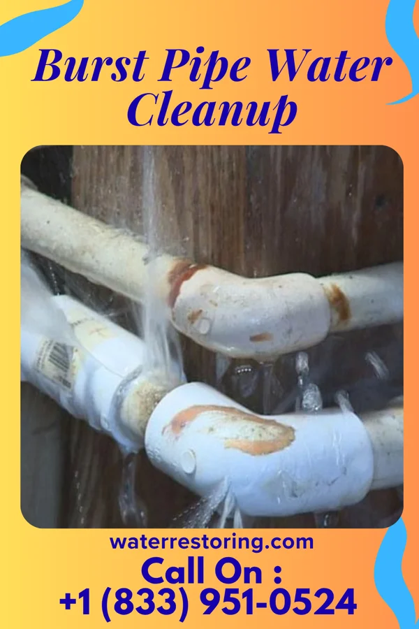 Burst Pipe Water Cleanup in Elkins, WV