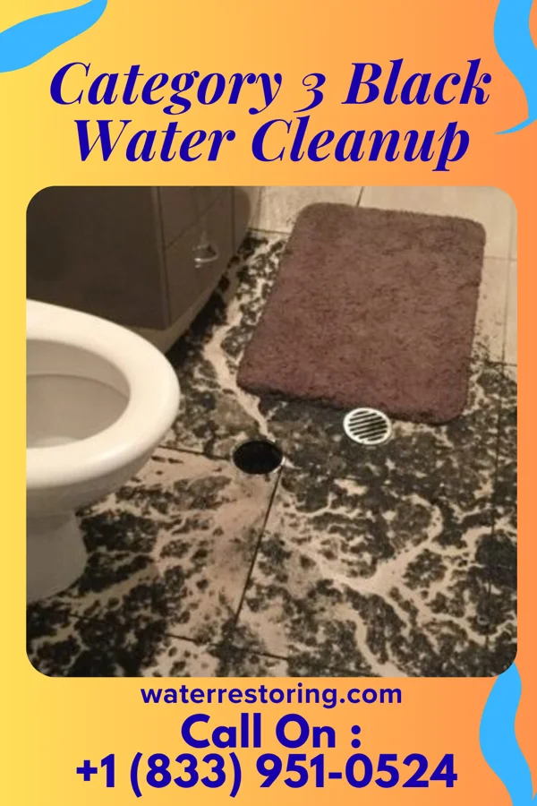 Category 3 Black Water Cleanup in Elkins, WV