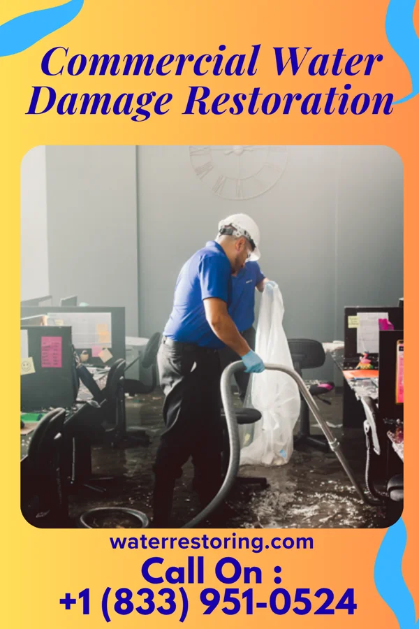 Commercial Water Damage Restoration in Elkins, WV