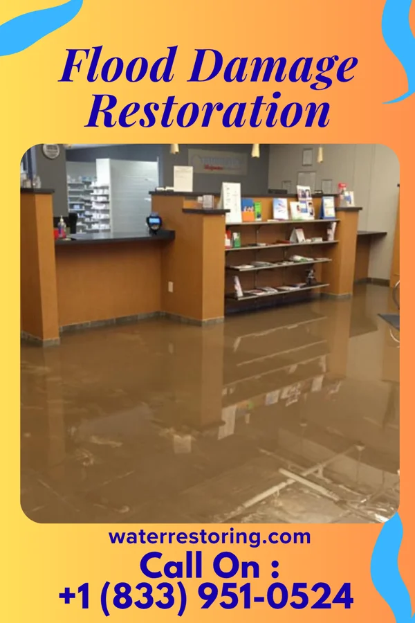 Flood Damage Restoration in Elkins, WV