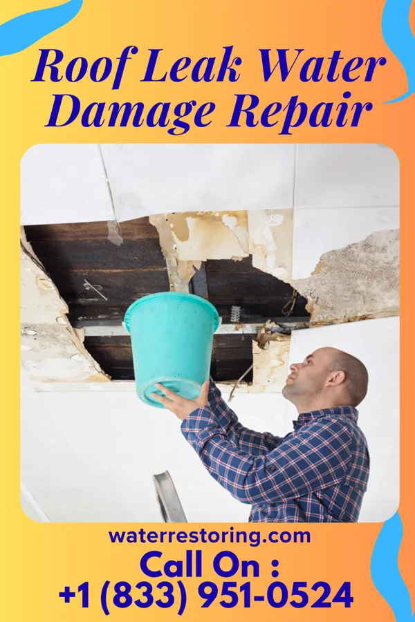 Roof Leak Water Damage Repair in Elkins, WV
