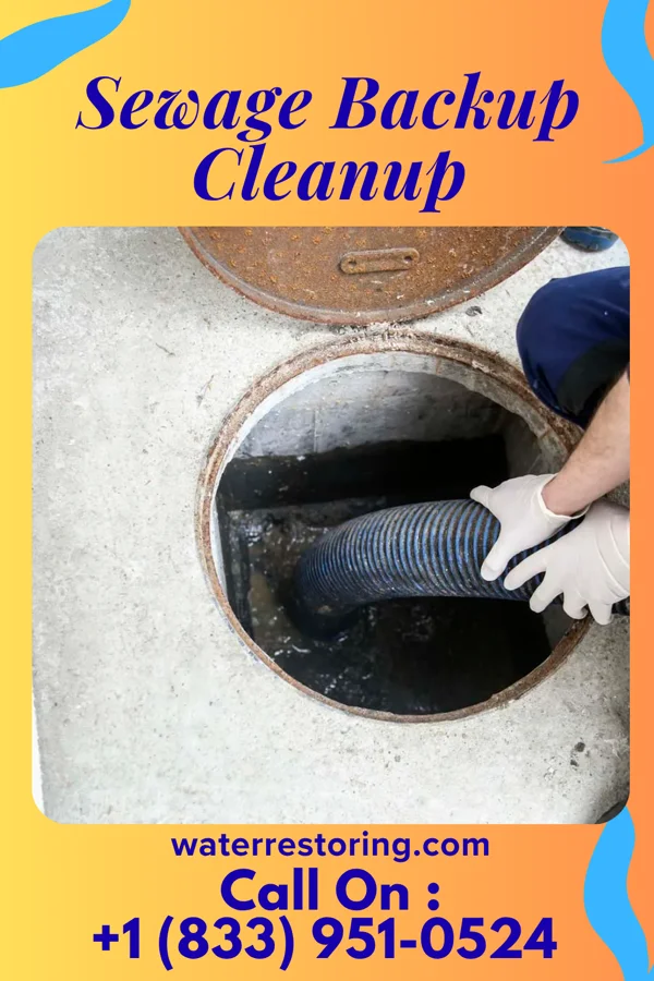 Sewage Backup Cleanup in Elkins, WV