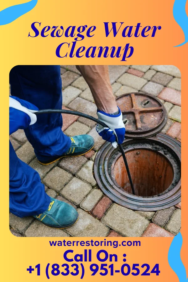 Sewage Water Cleanup in Elkins, WV