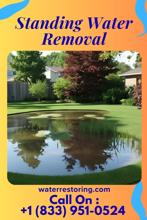 Standing Water Removal in Elkins, WV